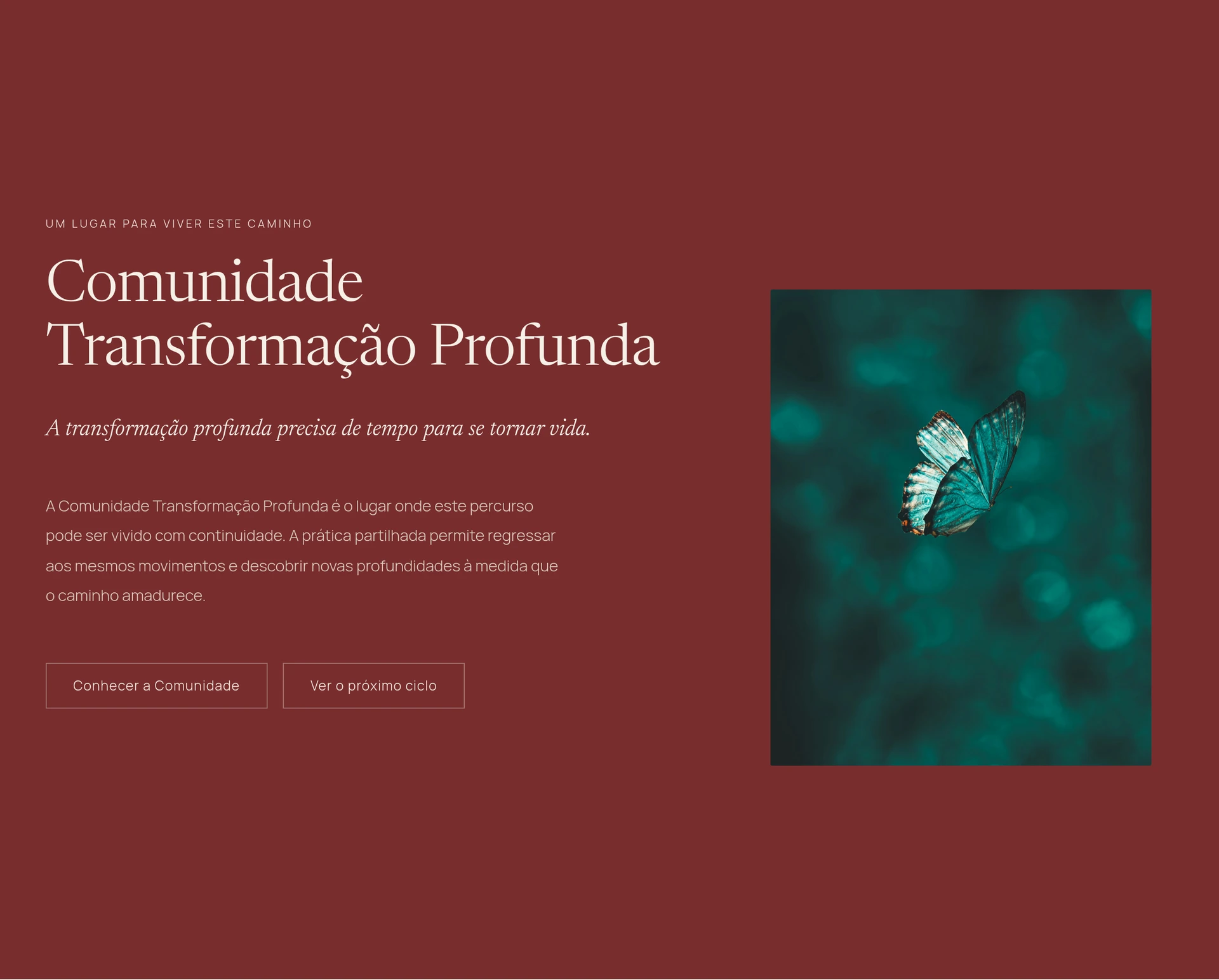 Secção Comunidade Transformação Profunda com fundo vermelho, fotografia de uma borboleta turquesa e texto de apresentação do percurso partilhado.