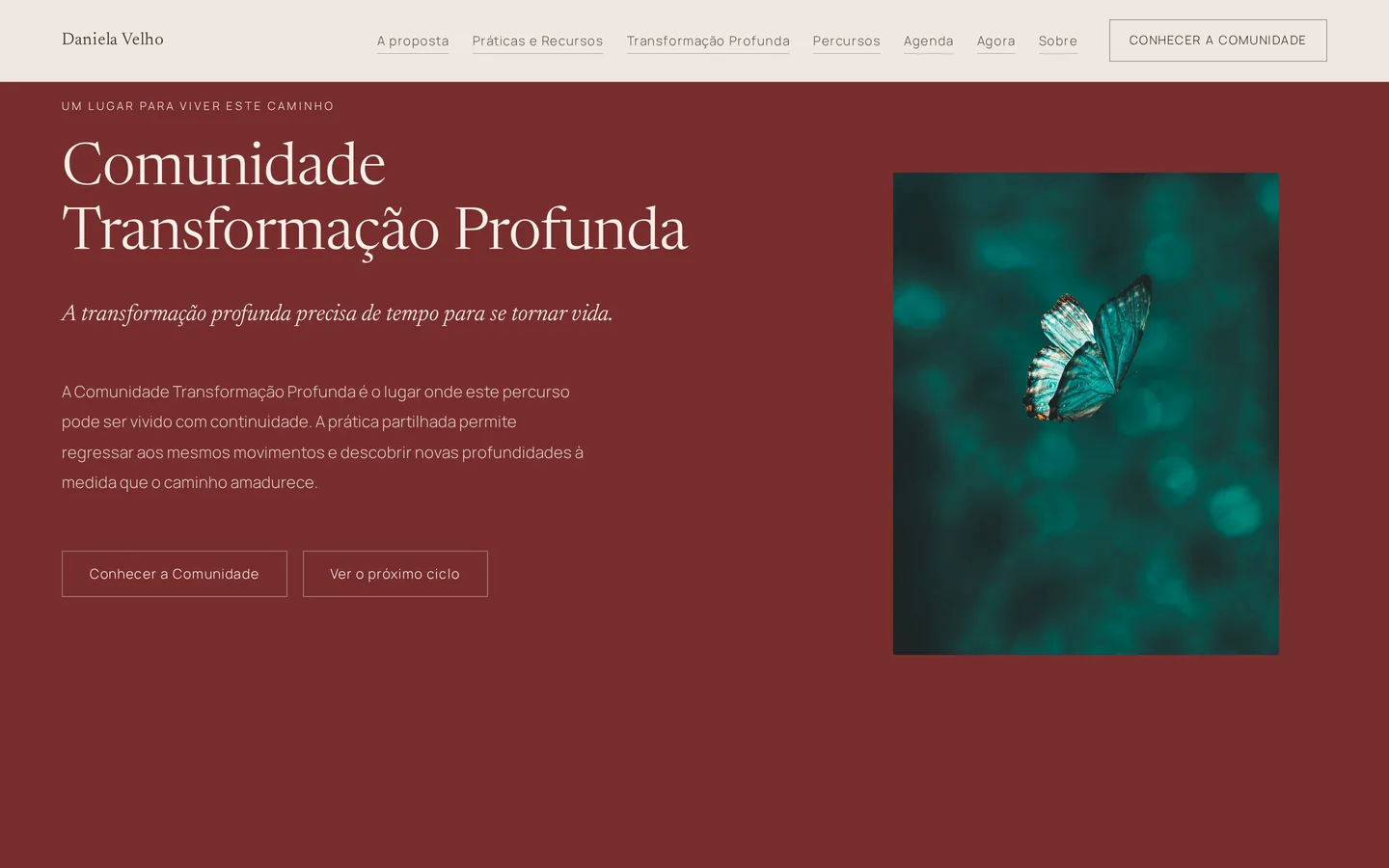 Secção da Comunidade Transformação Profunda na demonstração Daniela Velho.