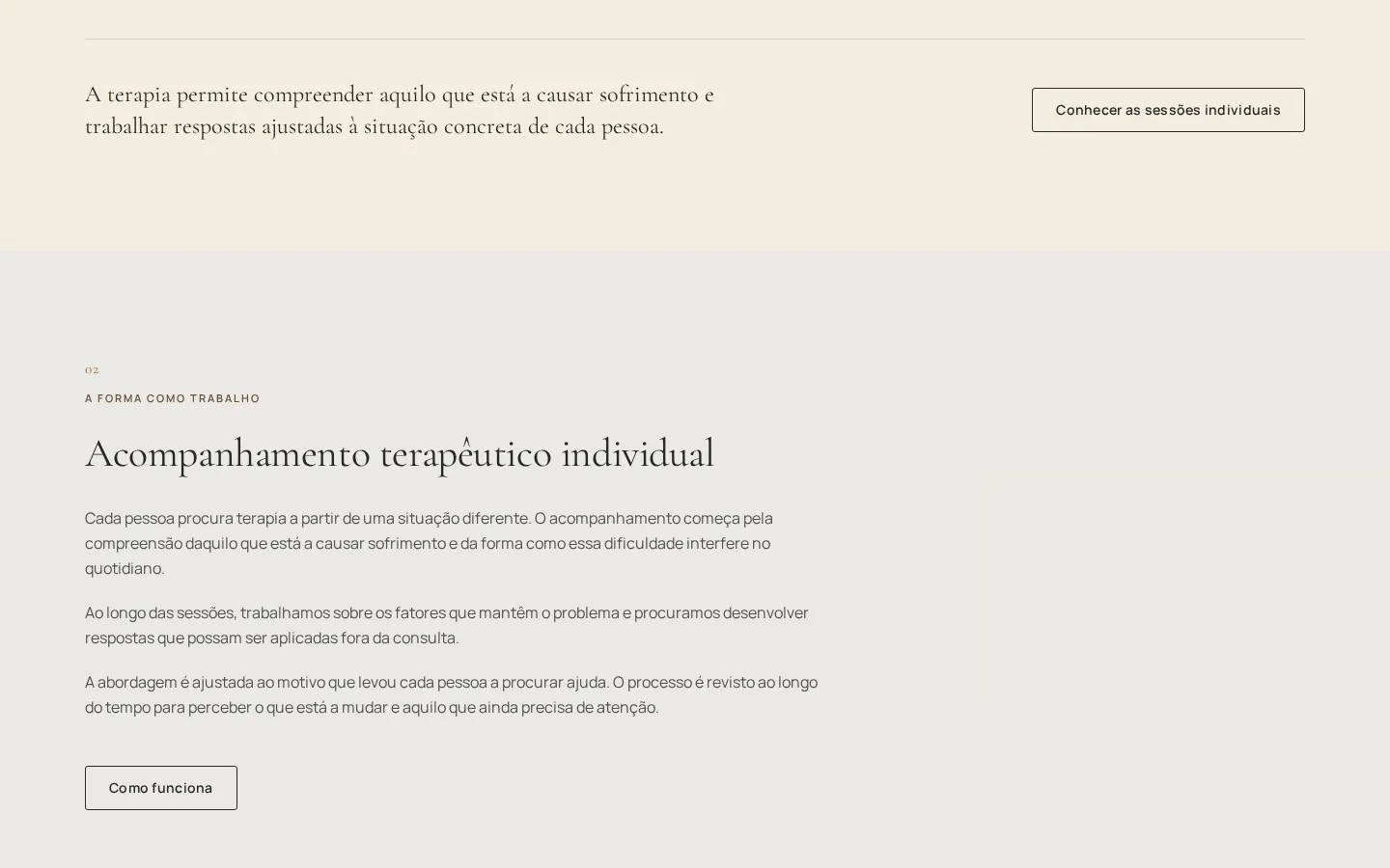 Secção sobre o acompanhamento terapêutico individual da demonstração Essência Terapêutica.